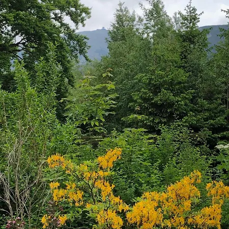 Azyl - Kazdy Z Wlasna Kuchnia I Lazienka كارباش