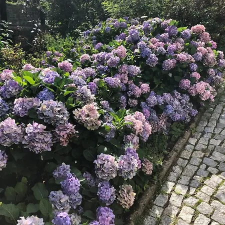 Azyl - Kazdy Z Wlasna Kuchnia I Lazienka كارباش