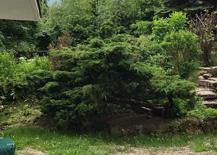 Azyl - Kazdy Z Wlasna Kuchnia I Lazienka 卡尔帕奇