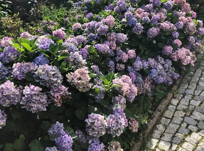 Azyl - Kazdy Z Wlasna Kuchnia I Lazienka 卡尔帕奇