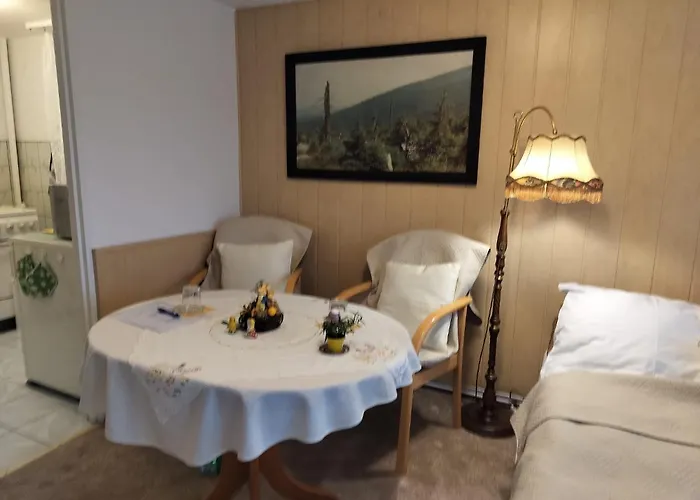 公寓 Azyl - Kazdy Z Wlasna Kuchnia I Lazienka 卡尔帕奇